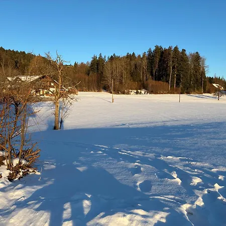 Πανσιόν Hutterer 3*