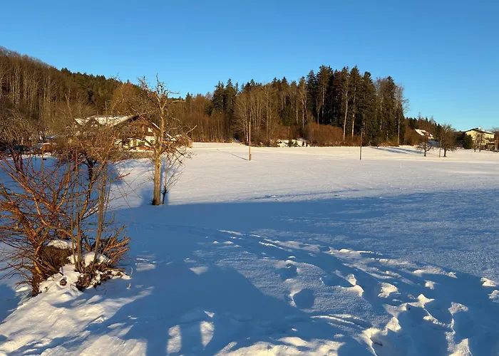 Πανσιόν Hutterer 3*